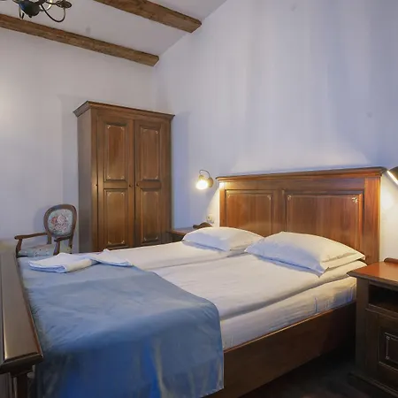 Boutique Casa Chitic -hotel And Restaurant Str Johann Gott Nr7 3* Μπρασόβ