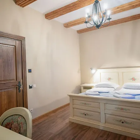 Boutique Casa Chitic -hotel And Restaurant Str Johann Gott Nr7