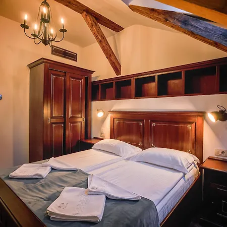 Ξενοδοχείο Boutique Casa Chitic -hotel And Restaurant Str Johann Gott Nr7 Μπρασόβ