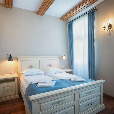 Boutique Casa Chitic -hotel And Restaurant Str Johann Gott Nr7 3* Брашов
