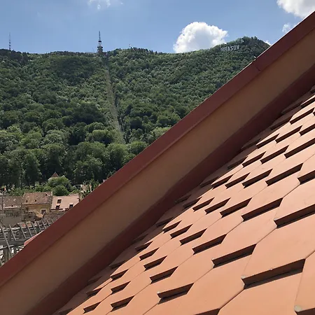 Отель Boutique Casa Chitic -hotel And Restaurant Str Johann Gott Nr7 3*