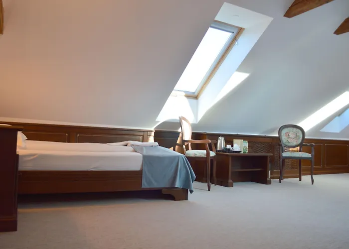 Hotel Boutique Casa Chitic -hotel And Restaurant Str Johann Gott Nr7 3*