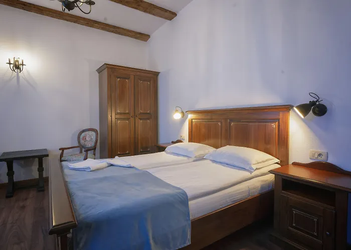 Boutique Casa Chitic -hotel And Restaurant Str Johann Gott Nr7 Hotel