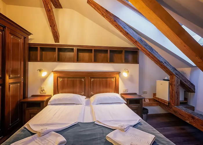 Boutique Casa Chitic -hotel And Restaurant Str Johann Gott Nr7 3*