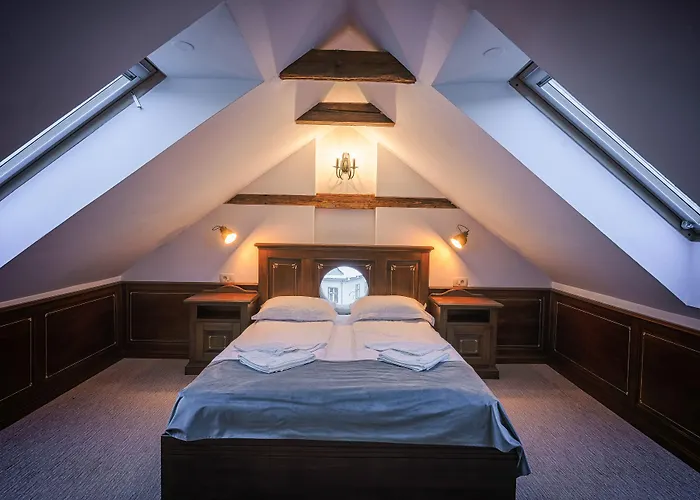 Boutique Casa Chitic -hotel And Restaurant Str Johann Gott Nr7 Hotel 3*